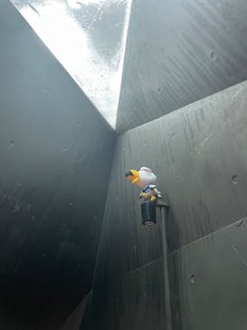 上越市立水族博物館 うみがたりに投稿された画像（2023/8/30）