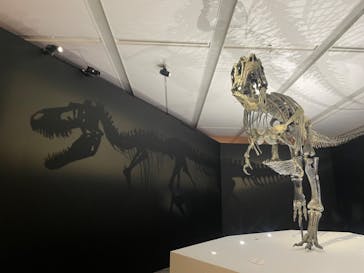 DinoScience 恐竜科学博 2023@TOKYO MIDTOWNに投稿された画像（2023/8/30）