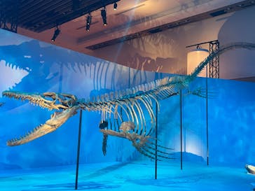 DinoScience 恐竜科学博 2023@TOKYO MIDTOWNに投稿された画像（2023/8/30）