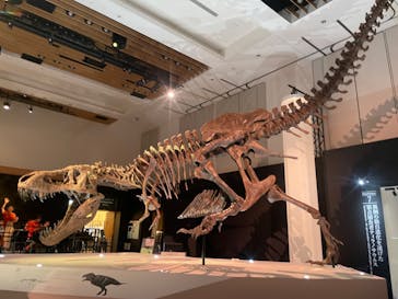 DinoScience 恐竜科学博 2023@TOKYO MIDTOWNに投稿された画像（2023/8/30）