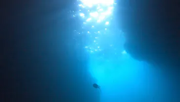 武藤潜水に投稿された画像（2023/8/30）