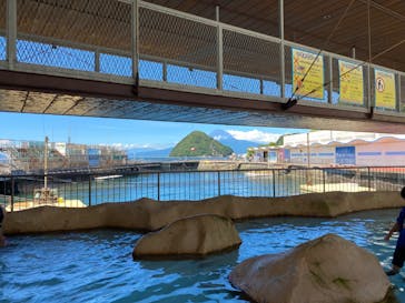 伊豆・三津シーパラダイスに投稿された画像（2023/8/30）