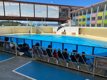 伊豆・三津シーパラダイスに投稿された画像（2023/8/30）