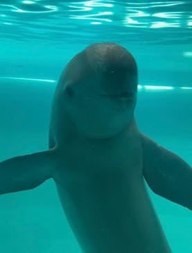 マリンワールド海の中道に投稿された画像（2023/8/30）