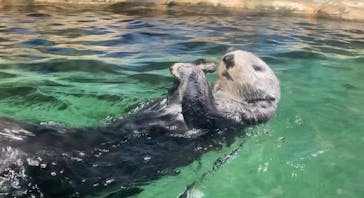 マリンワールド海の中道に投稿された画像（2023/8/30）