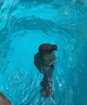 マリンワールド海の中道に投稿された画像（2023/8/30）