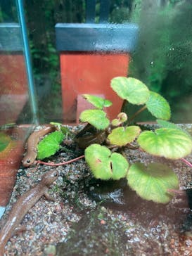 マリンワールド海の中道に投稿された画像（2023/8/30）