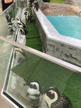 マリンワールド海の中道に投稿された画像（2023/8/30）