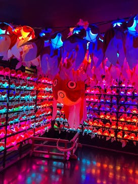 NARA KINGYO MUSEUMに投稿された画像（2023/8/30）