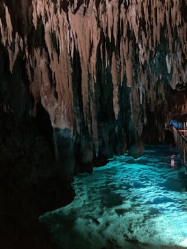 おきなわワールドに投稿された画像（2023/8/30）