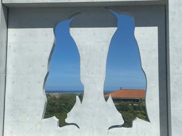 島根県立 しまね海洋館に投稿された画像（2023/8/30）