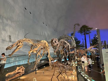 福井県立恐竜博物館に投稿された画像（2023/8/30）