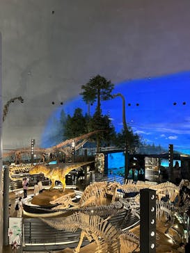 福井県立恐竜博物館に投稿された画像（2023/8/30）