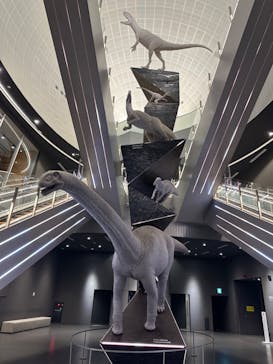 福井県立恐竜博物館に投稿された画像（2023/8/30）