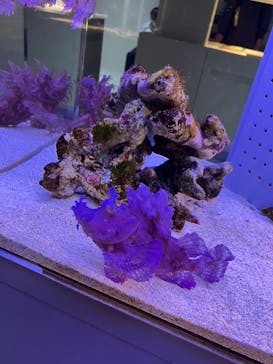 AOAO SAPPOROに投稿された画像（2023/8/30）