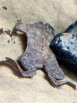 AOAO SAPPOROに投稿された画像（2023/8/30）