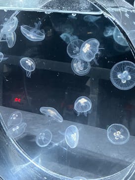 AOAO SAPPOROに投稿された画像（2023/8/30）