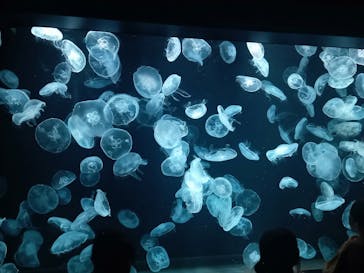 AOAO SAPPOROに投稿された画像（2023/8/30）