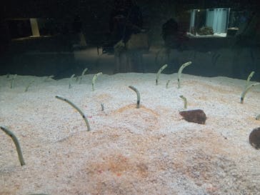 AOAO SAPPOROに投稿された画像（2023/8/30）