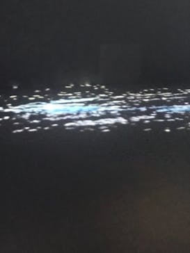 Immersive Museum OSAKA 2025に投稿された画像（2023/8/30）