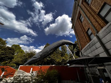 国立科学博物館に投稿された画像（2023/8/30）