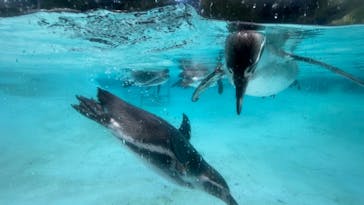 阿蘇カドリー・ドミニオンに投稿された画像（2023/8/30）