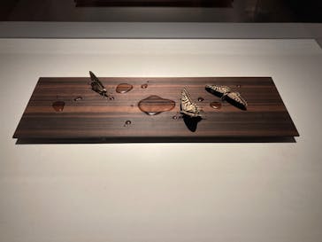 あべのハルカス美術館に投稿された画像（2023/8/30）