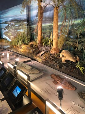 福井県立恐竜博物館に投稿された画像（2023/8/30）