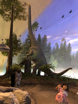 福井県立恐竜博物館に投稿された画像（2023/8/30）