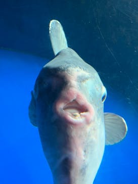 サンシャイン水族館に投稿された画像（2023/8/30）