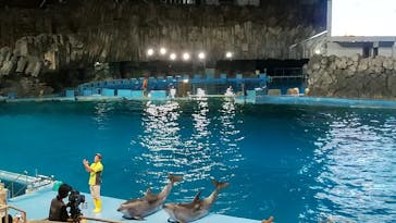 名古屋港水族館に投稿された画像（2023/8/30）