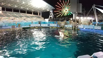 名古屋港水族館に投稿された画像（2023/8/30）