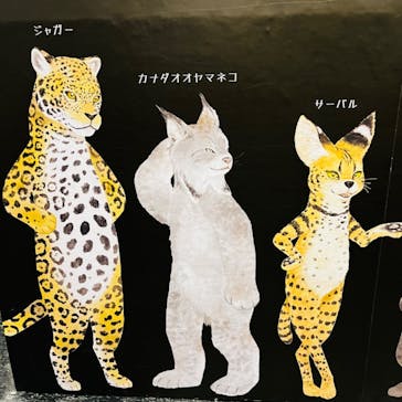 特別展「ネコ」 ～にゃんと！クールなハンターたち～に投稿された画像（2023/8/30）