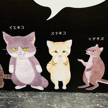 特別展「ネコ」 ～にゃんと！クールなハンターたち～に投稿された画像（2023/8/30）