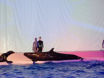 アクアワールド茨城県大洗水族館に投稿された画像（2023/8/30）