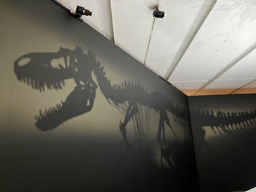 DinoScience 恐竜科学博 2023@TOKYO MIDTOWNに投稿された画像（2023/8/30）