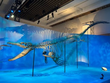 DinoScience 恐竜科学博 2023@TOKYO MIDTOWNに投稿された画像（2023/8/30）