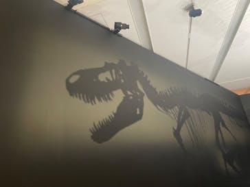 DinoScience 恐竜科学博 2023@TOKYO MIDTOWNに投稿された画像（2023/8/30）