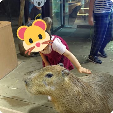 カワスイ 川崎⽔族館に投稿された画像（2023/8/30）