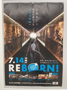 福井県立恐竜博物館に投稿された画像（2023/8/31）
