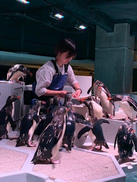 AOAO SAPPOROに投稿された画像（2023/8/31）