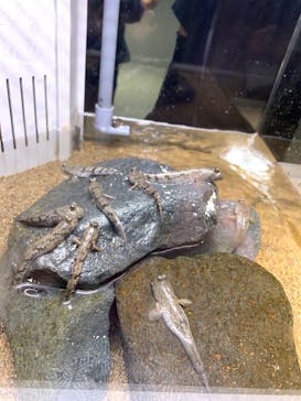 AOAO SAPPOROに投稿された画像（2023/8/31）