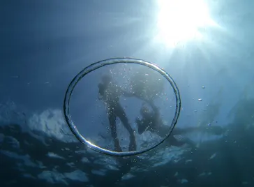 武藤潜水に投稿された画像（2023/8/31）