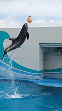 南知多ビーチランド＆南知多おもちゃ王国に投稿された画像（2023/8/31）