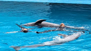 南知多ビーチランド＆南知多おもちゃ王国に投稿された画像（2023/8/31）