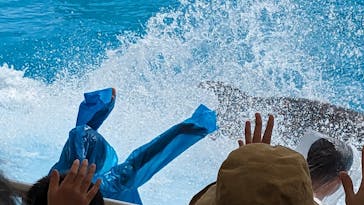 南知多ビーチランド＆南知多おもちゃ王国に投稿された画像（2023/8/31）