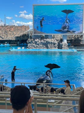 名古屋港水族館に投稿された画像（2023/8/31）