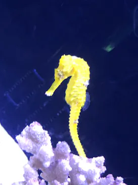 マクセル アクアパーク品川に投稿された画像（2023/8/31）