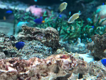 マクセル アクアパーク品川に投稿された画像（2023/8/31）