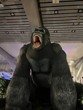 「科学漫画サバイバル」シリーズ 絶体絶命！？キミたちのサバイバルに投稿された画像（2023/8/31）